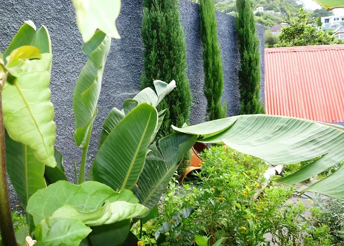 Matilde E Joaquim Lägenhet Machico (Madeira)
