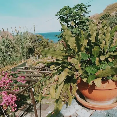 Matilde E Joaquim * Machico (Madeira)