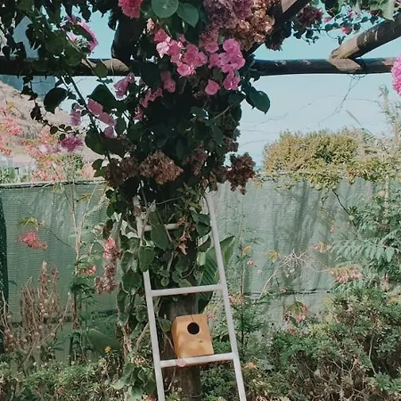 公寓 Matilde E Joaquim *