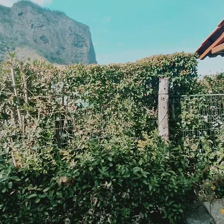 Matilde E Joaquim * Machico (Madeira)